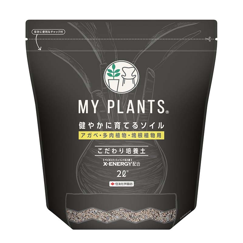 1等最大限度100％尖んがりうしろ側社会的運動6月も執り行なう！