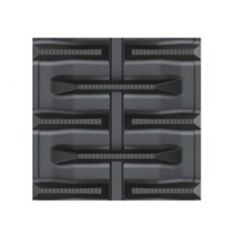 1等最大限度100％尖んがりうしろ側社会的運動6月も為し終える！