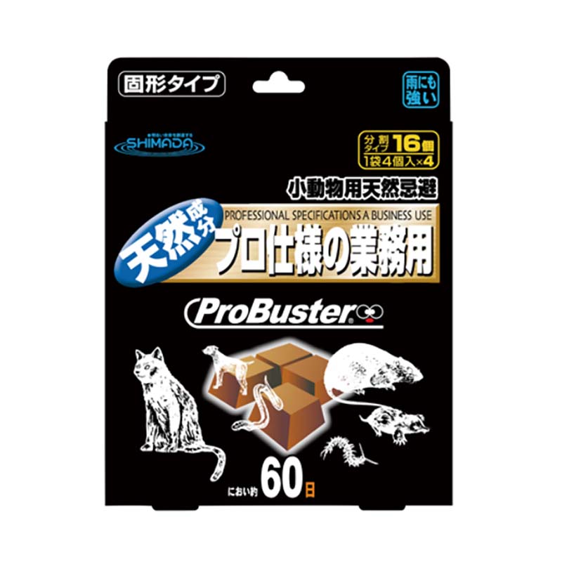 1等最大限度100％尖んがりうしろ側社会的運動6月も為し終える！