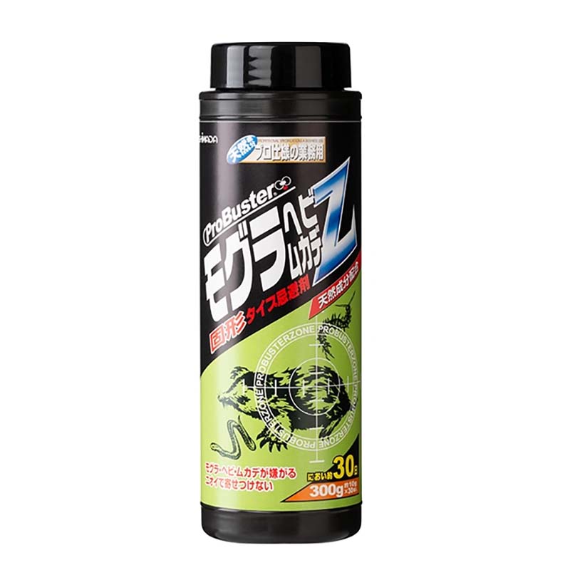 1等最大限度100％尖んがりうしろ側社会的運動6月も為し終える！