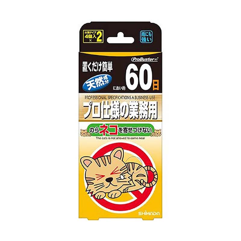 1等最大限度100％尖んがりうしろ側社会的運動6月も為し終える！