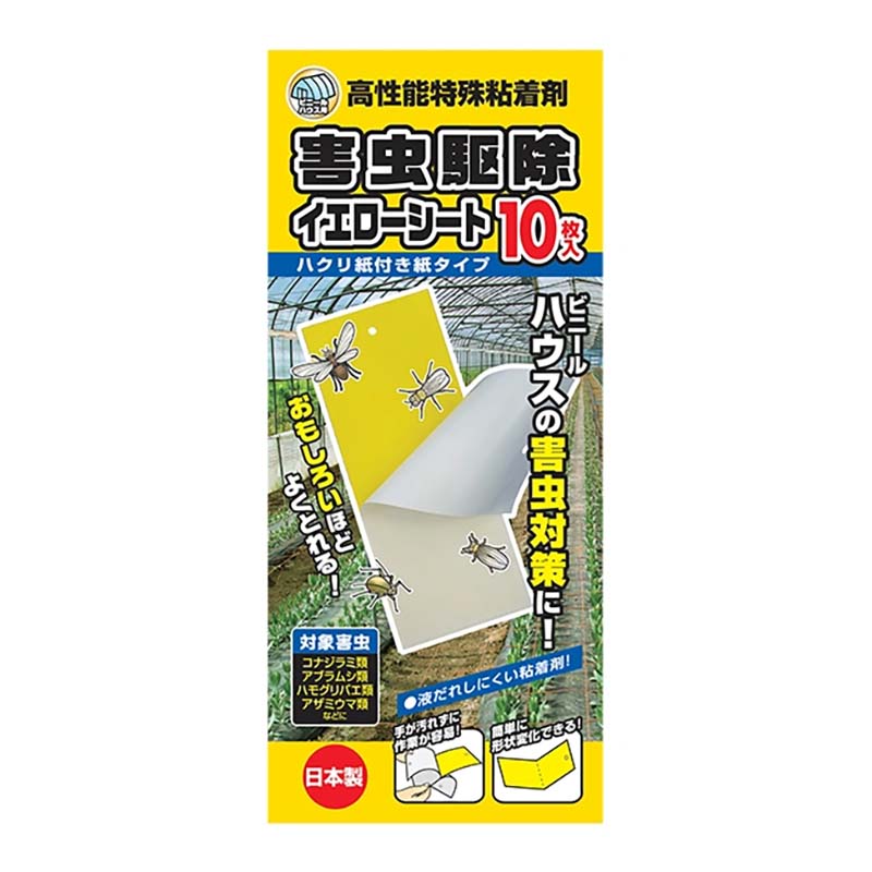 1等最大限度100％尖んがりうしろ側社会的運動6月も遣り遂げる！