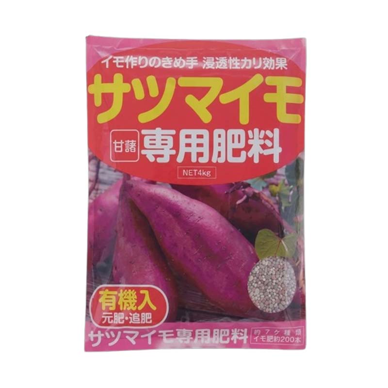 1等最大限度100％尖んがりうしろ側社会的運動6月も為し終える！