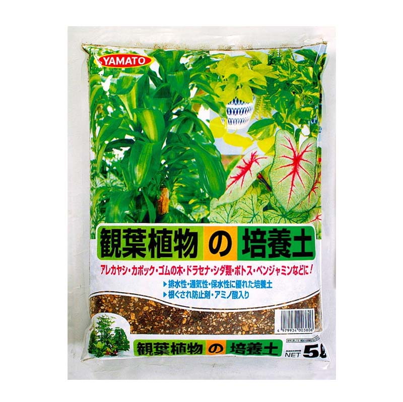 1等最大限度100％尖んがりうしろ側社会的運動6月も遣り遂げる！