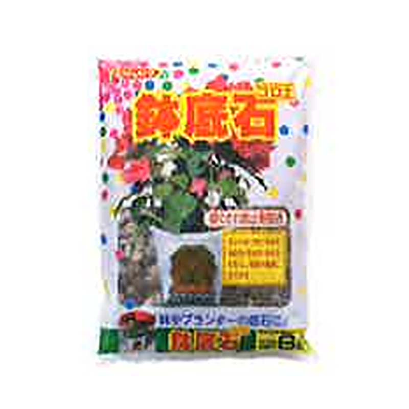 1等最大限度100％尖んがりうしろ側社会的運動6月も為し終える！