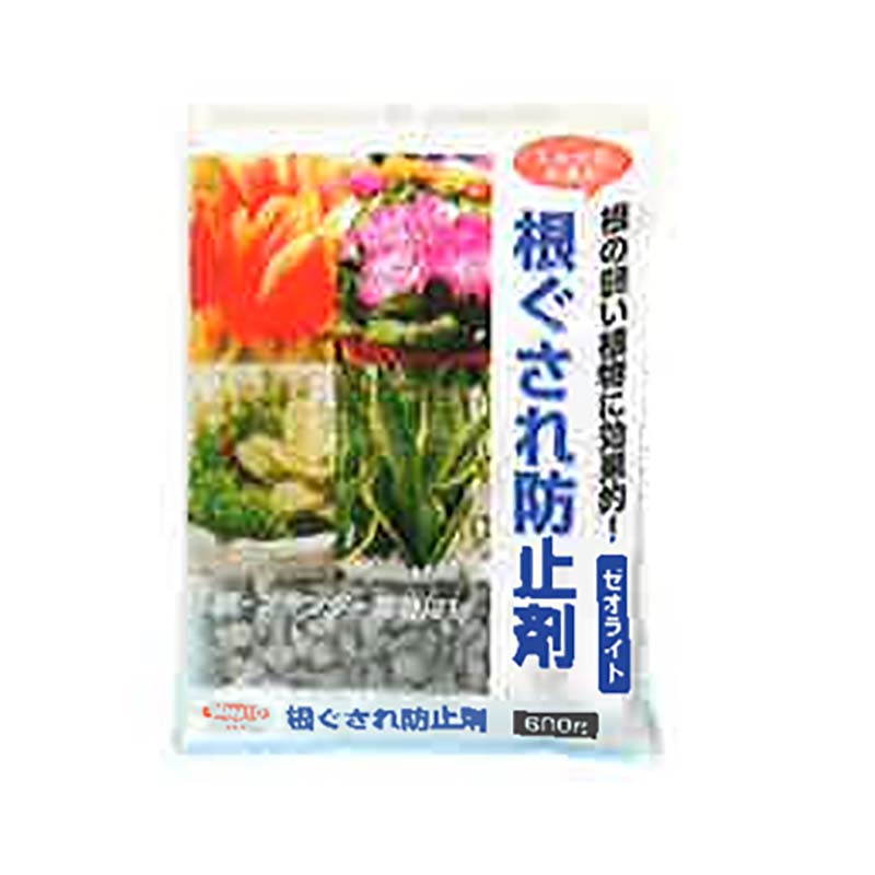 1等最大限度100％尖んがりうしろ側社会的運動6月も為し終える！