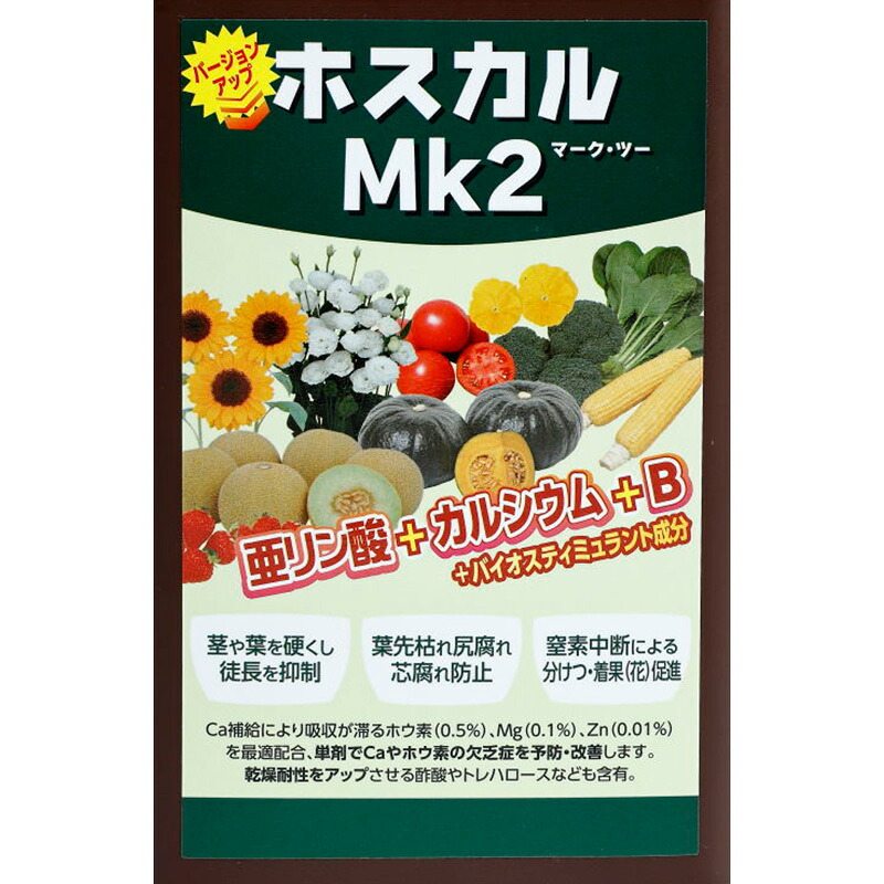 1等最大限度100％尖んがりうしろ側社会的運動6月も執り行なう！