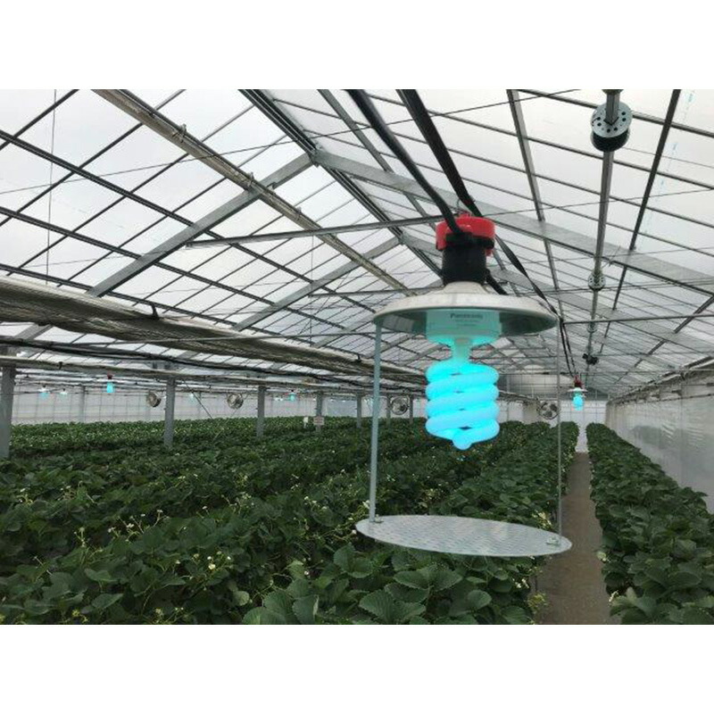 1等最大限度100％尖んがりうしろ側社会的運動6月も執り行なう！
