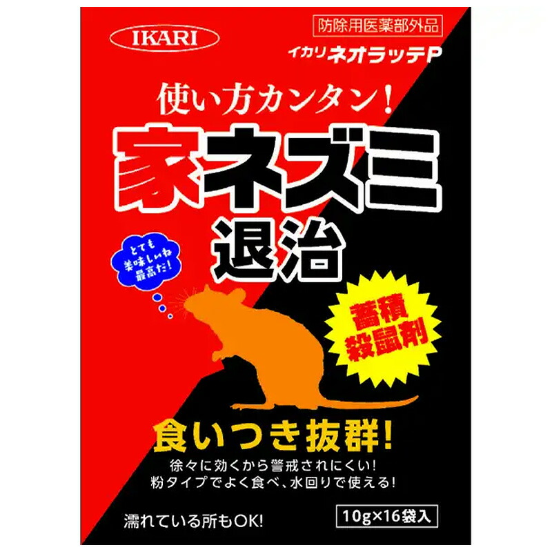 1等最大限度100％尖んがりうしろ側社会的運動6月も執り行なう！