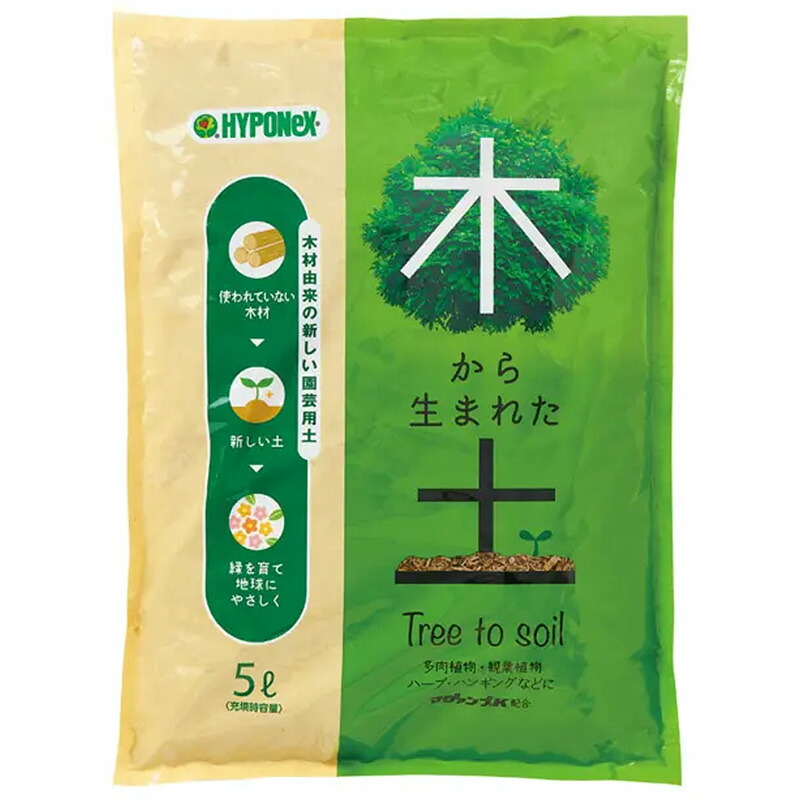 1等最大限度100％尖んがりうしろ側社会的運動6月も執り行なう！