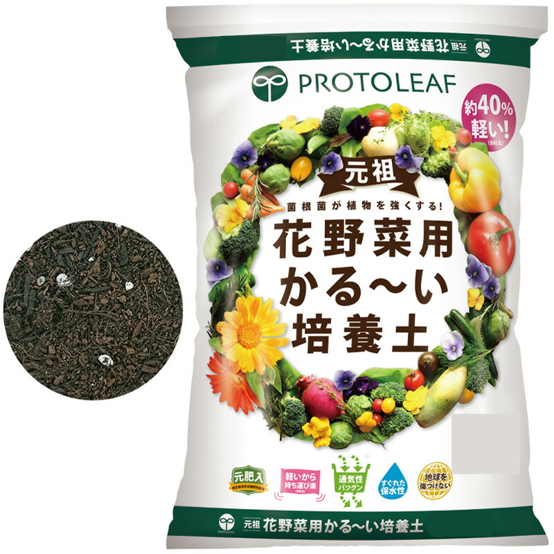 1等最大限度100％尖んがりうしろ側社会的運動6月も執り行なう！
