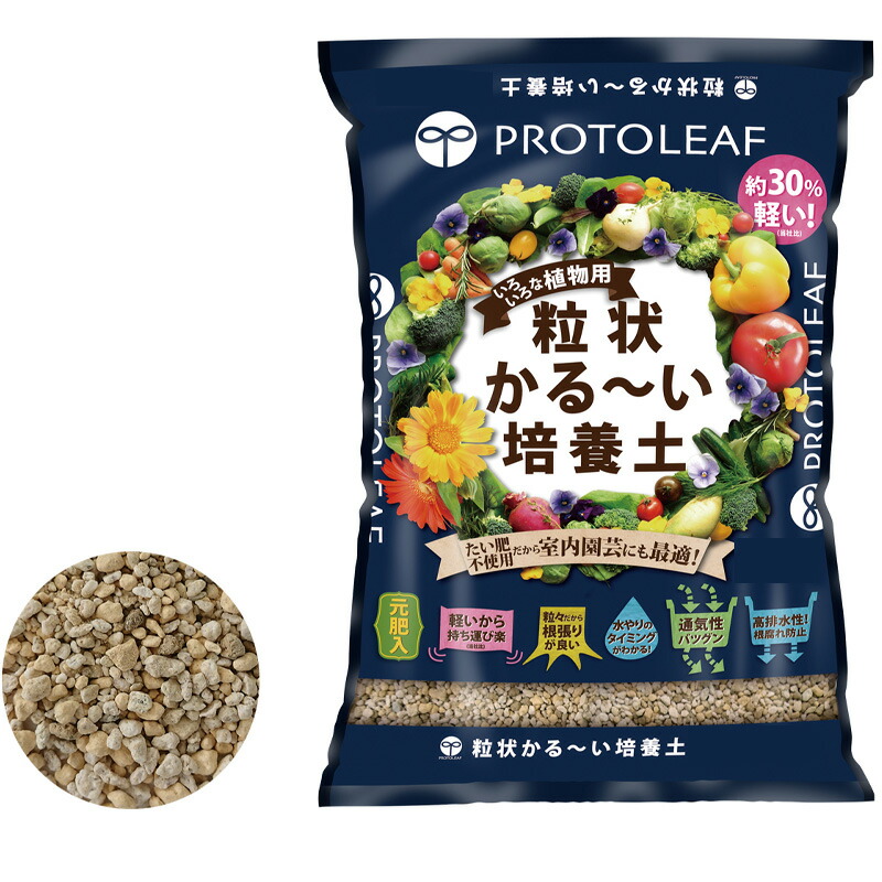 1等最大限度100％尖んがりうしろ側社会的運動6月も執り行なう！
