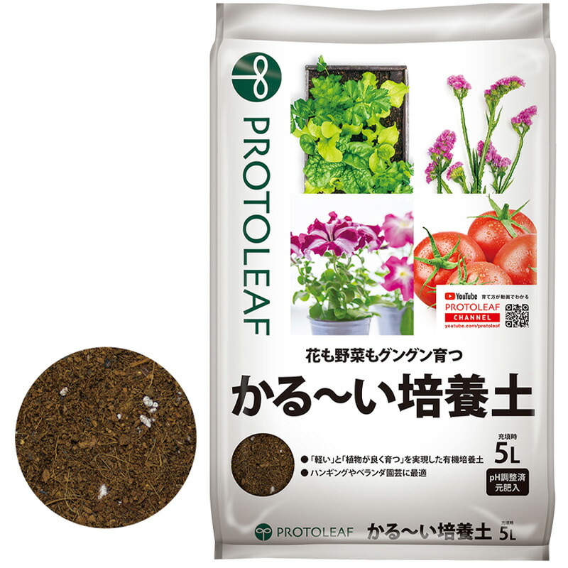 1等最大限度100％尖んがりうしろ側社会的運動6月も執り行なう！
