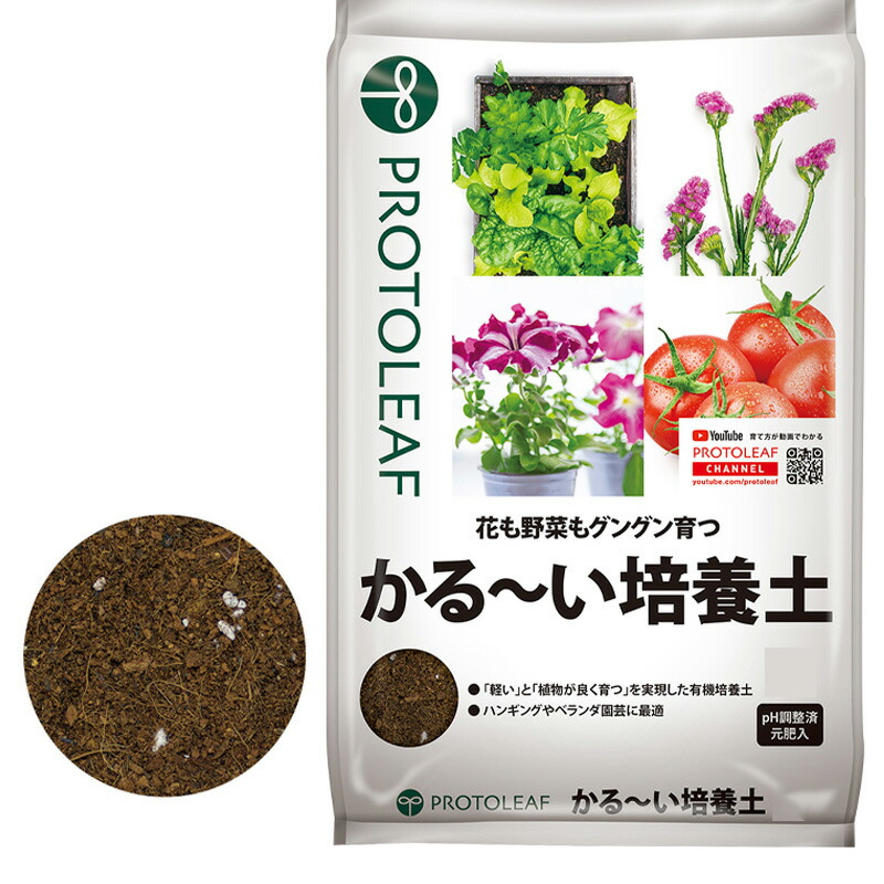 1等最大限度100％尖んがりうしろ側社会的運動6月も執り行なう！