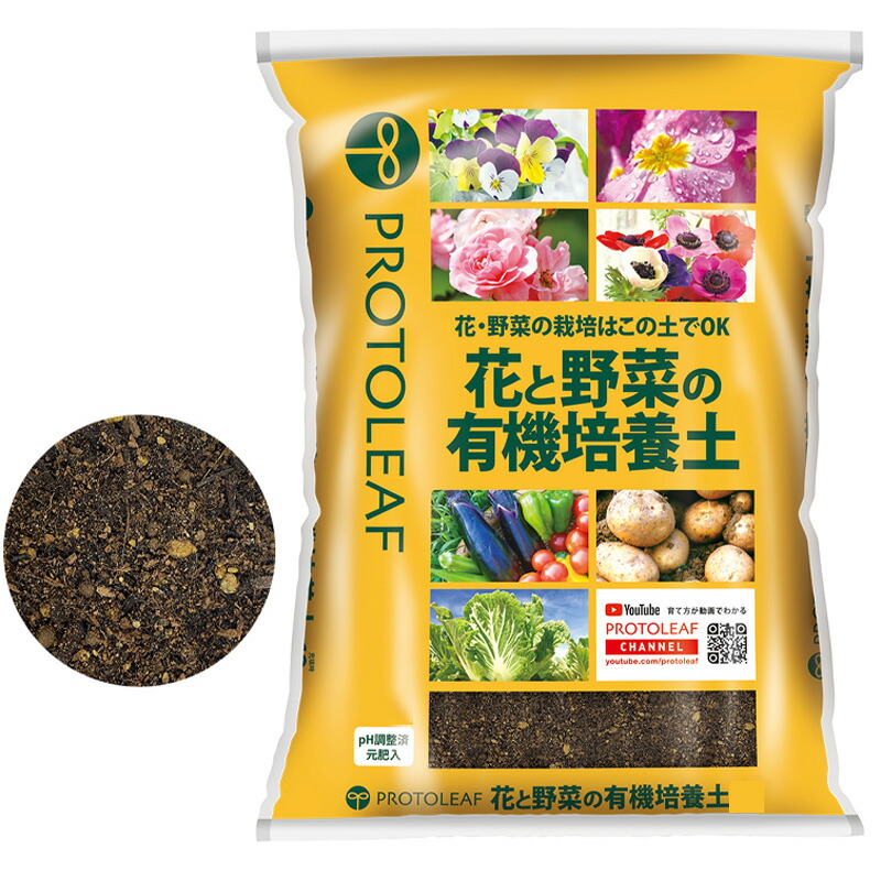 1等最大限度100％尖んがりうしろ側社会的運動6月も執り行なう！