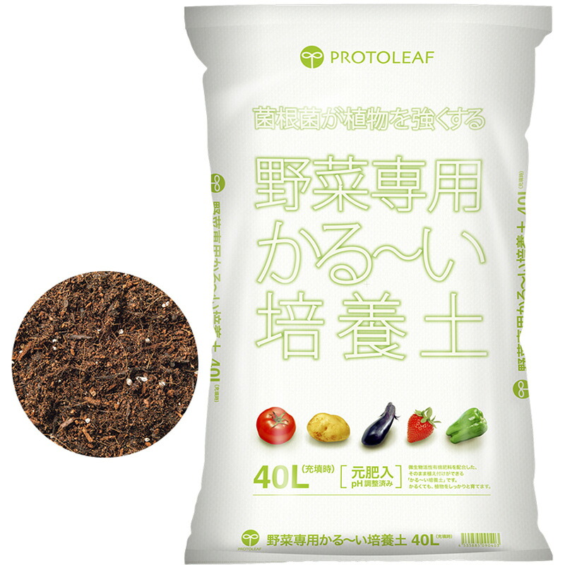 1等最大限度100％尖んがりうしろ側社会的運動6月も執り行なう！