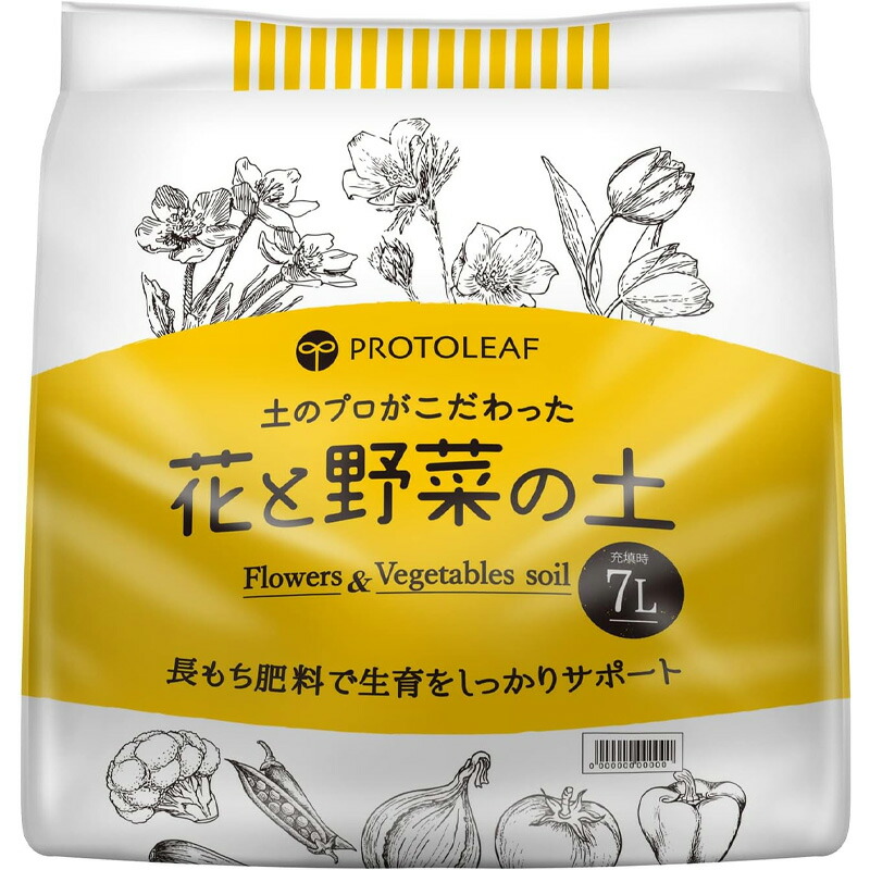 1等最大限度100％尖んがりうしろ側社会的運動6月も執り行なう！