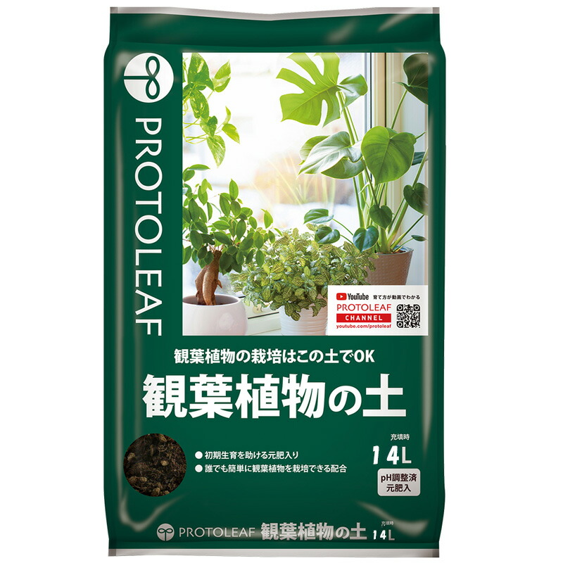 1等最大限度100％尖んがりうしろ側社会的運動6月も遣り遂げる！