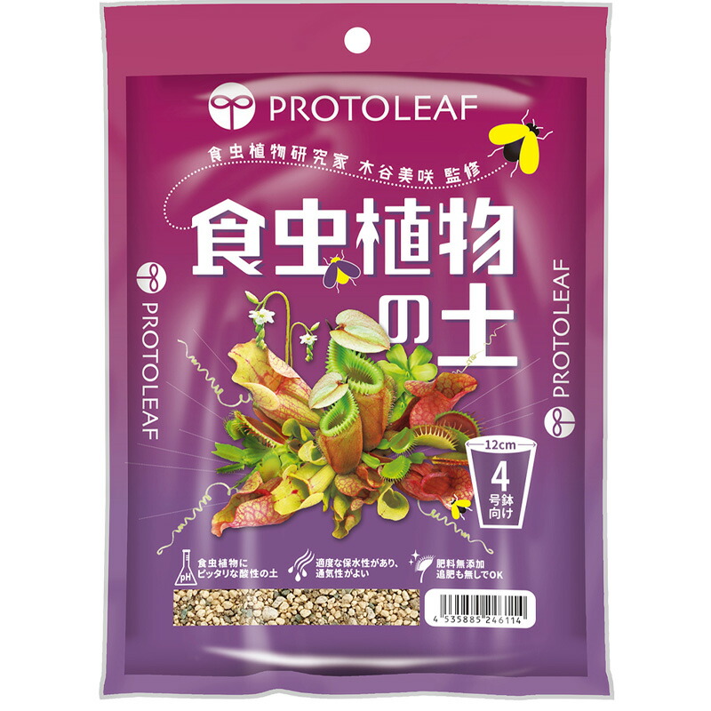 1等最大限度100％尖んがりうしろ側社会的運動6月も遣り遂げる！