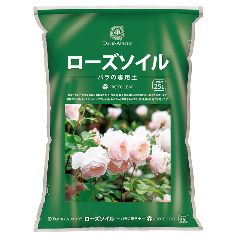 1等最大限度100％尖んがりうしろ側社会的運動6月も遣り遂げる！