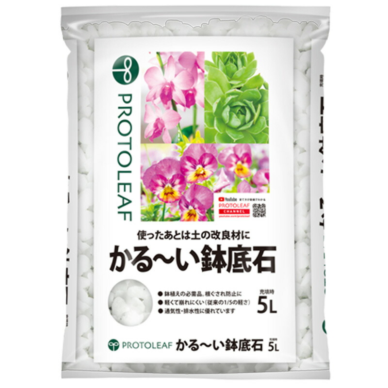 1等最大限度100％尖んがりうしろ側社会的運動6月も為し終える！