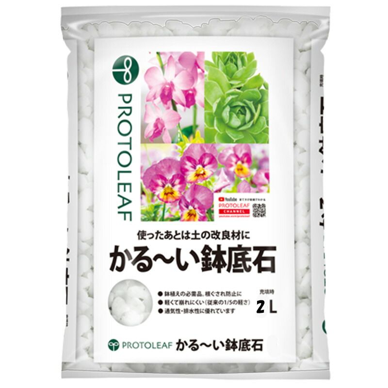 1等最大限度100％尖んがりうしろ側社会的運動6月も為し終える！