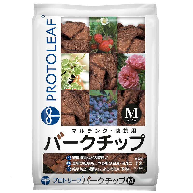 1等最大限度100％尖んがりうしろ側社会的運動6月も為し終える！