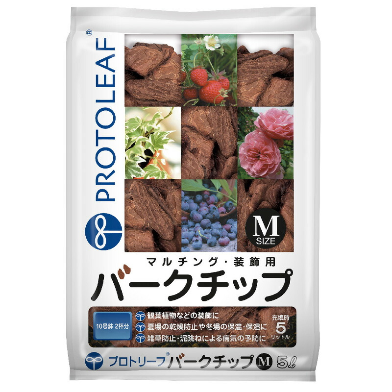 1等最大限度100％尖んがりうしろ側社会的運動6月も為し終える！