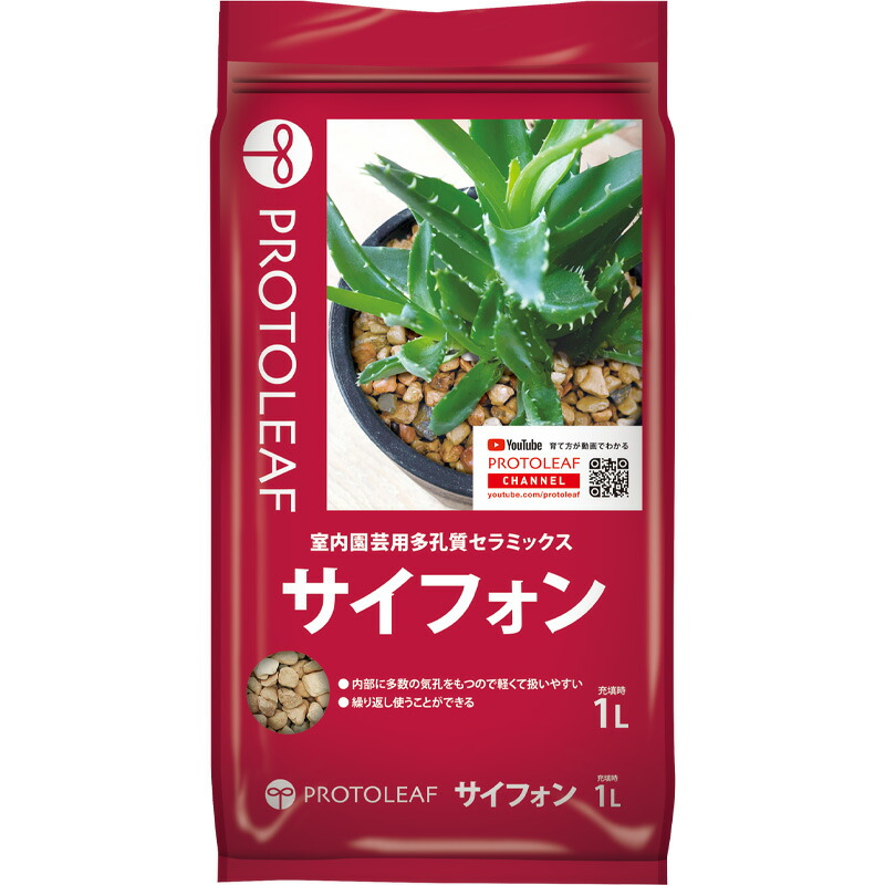 1等最大限度100％尖んがりうしろ側社会的運動6月も為し終える！