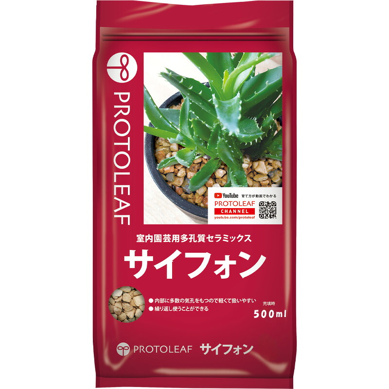 1等最大限度100％尖んがりうしろ側社会的運動6月も為し終える！