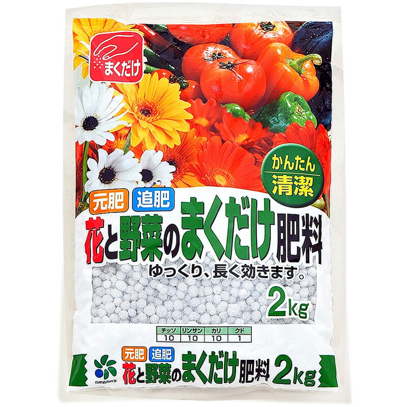 1等最大限度100％尖んがりうしろ側社会的運動6月も為し終える！