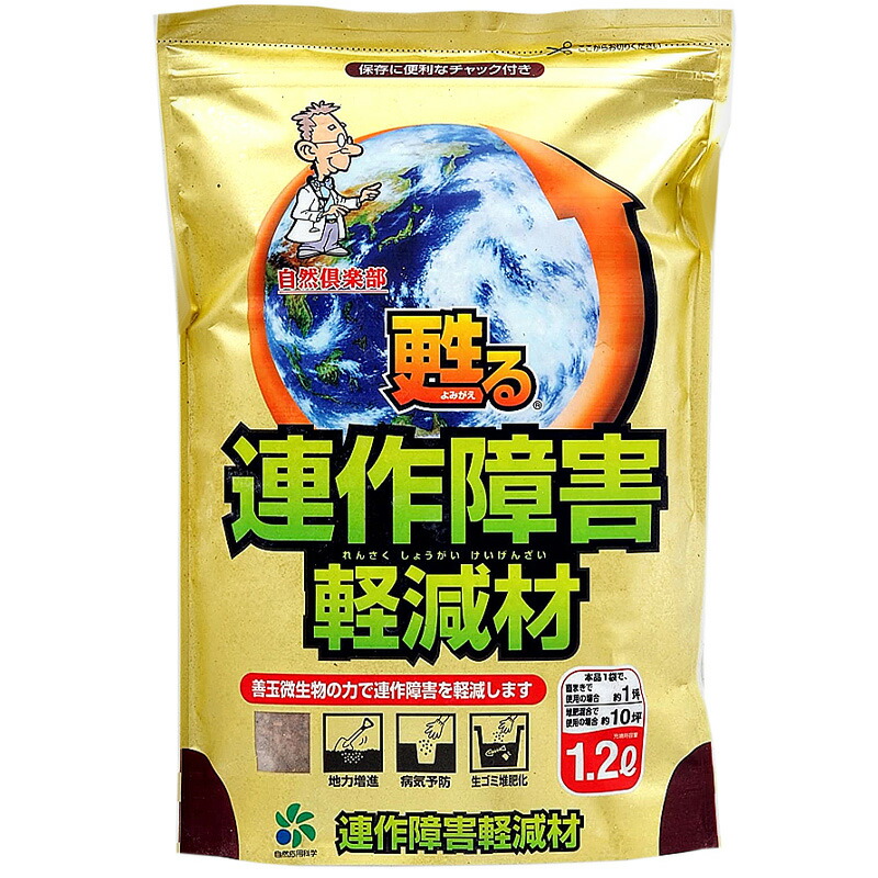 1等最大限度100％尖んがりうしろ側社会的運動6月も為し終える！