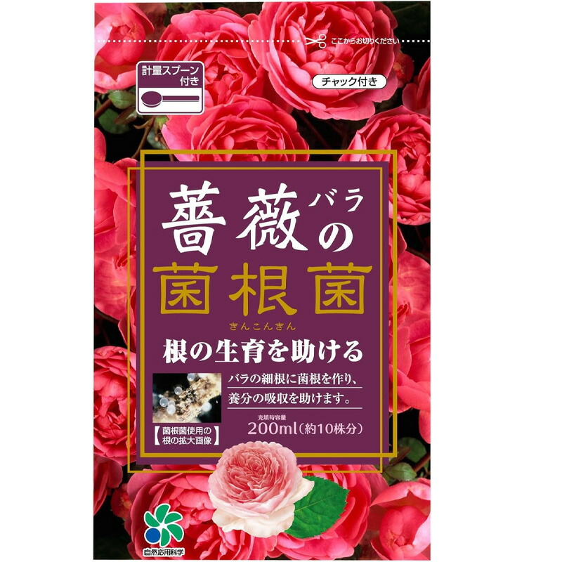 1等最大限度100％尖んがりうしろ側社会的運動6月も為し終える！