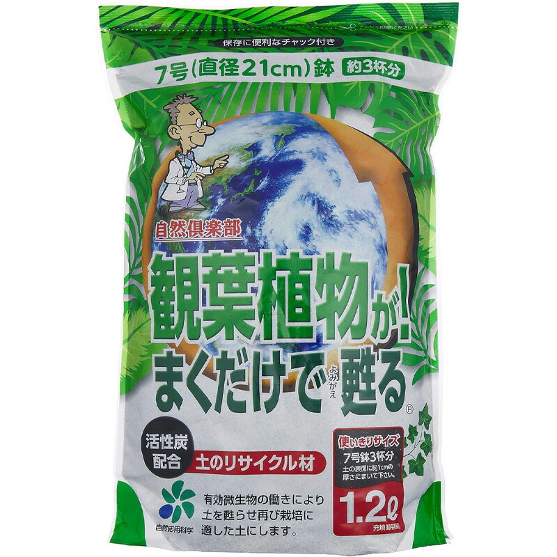 1等最大限度100％尖んがりうしろ側社会的運動6月も為し終える！