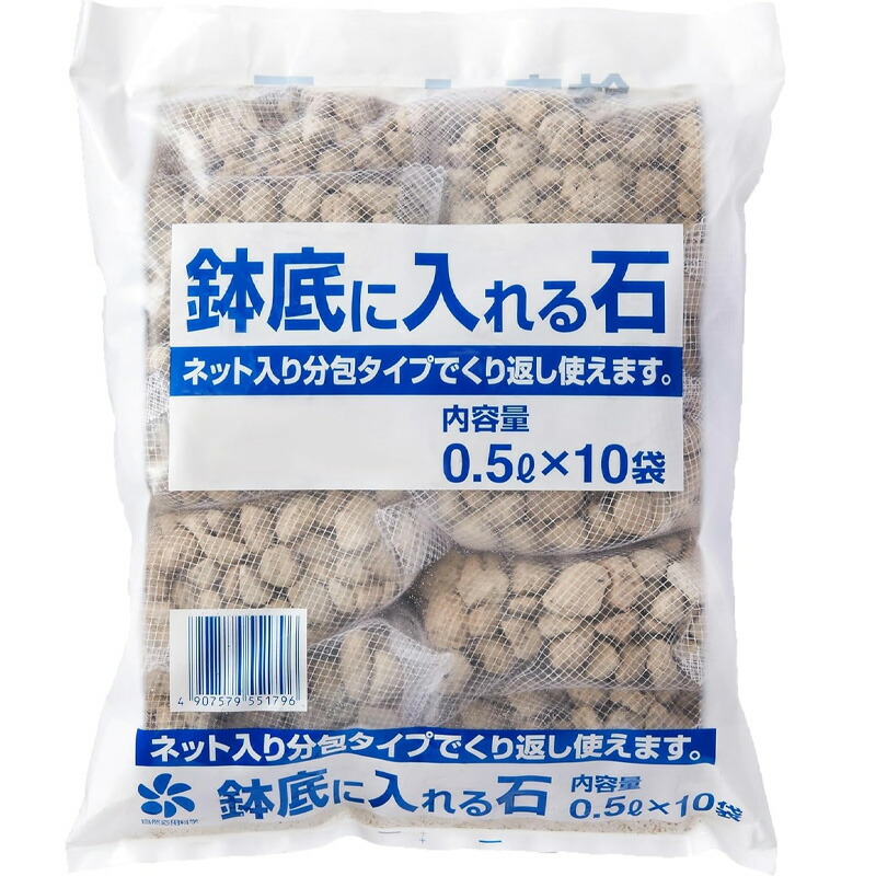 1等最大限度100％尖んがりうしろ側社会的運動6月も為し終える！