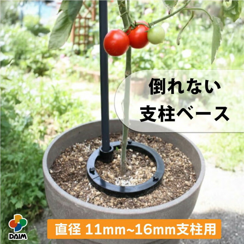 1等最大限度100％尖んがりうしろ側社会的運動6月も為し終える！