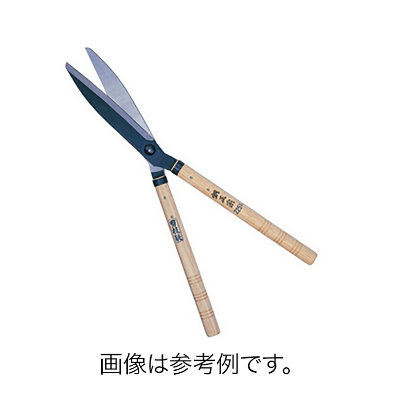 1等最大限度100％尖んがりうしろ側社会的運動6月も執り行なう！
