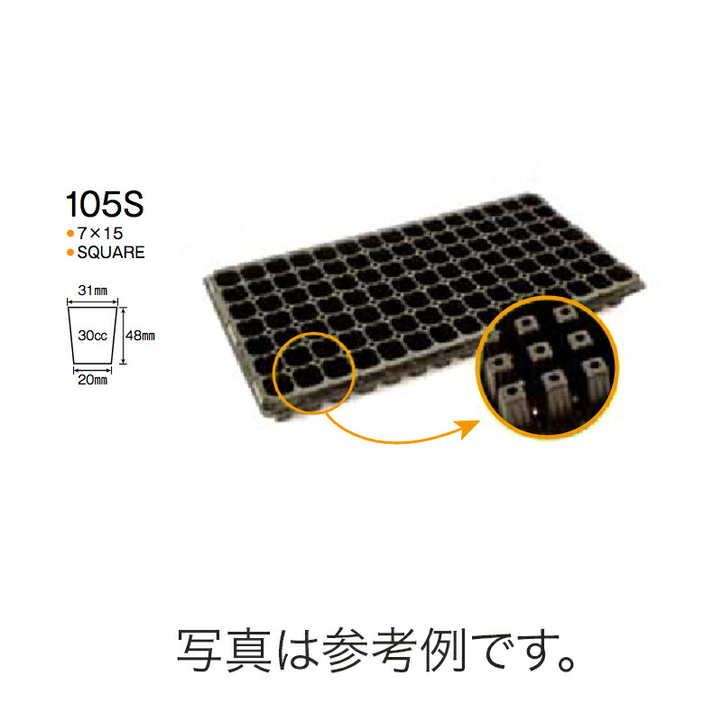 1等最大限度100％尖んがりうしろ側社会的運動6月も執り行なう！