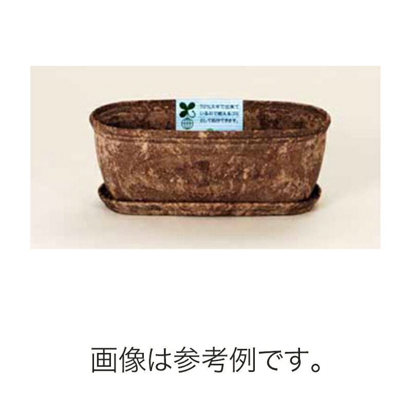 1等最大限度100％尖んがりうしろ側社会的運動6月も為しとげる！