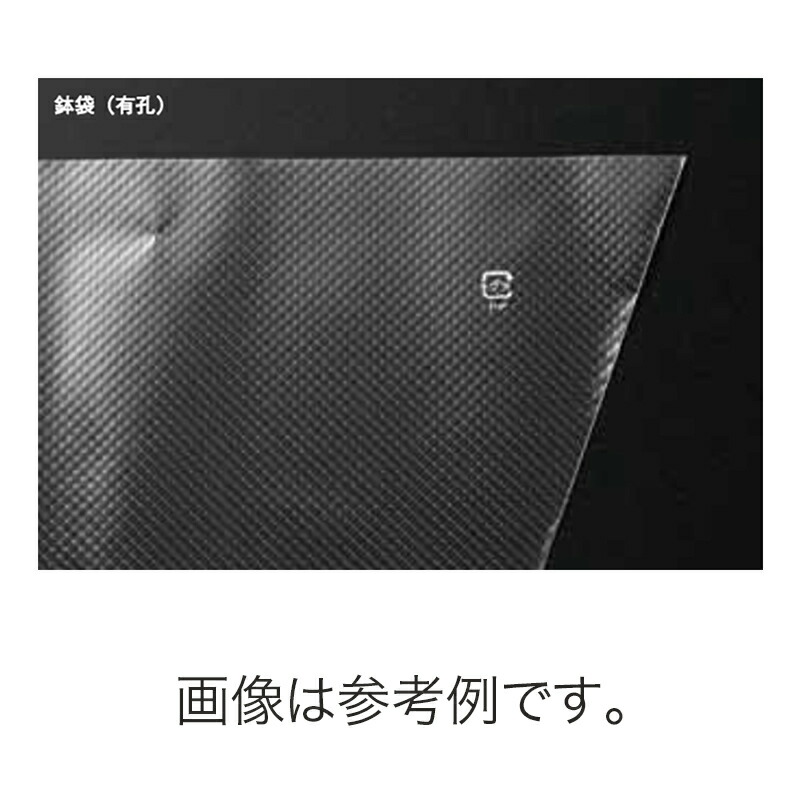 1等最大限度100％尖んがりうしろ側社会的運動6月も執り行なう！