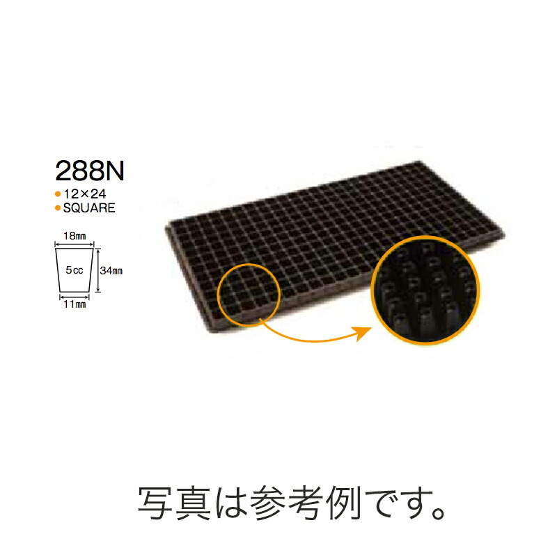 1等最大限度100％尖んがりうしろ側社会的運動6月も為し終える！