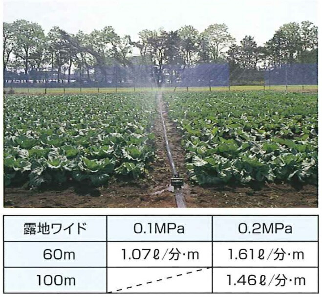 春新作の 個人宅配送不可 2巻 スミサンスイR露地ワイド 100m 住化農業 カ施 代引不可 cmdb.md