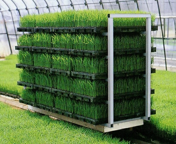 在庫処分 農業用品販売のプラスワイズ国産 アルミ 苗コンテナ 軽トラ用 傾斜型 80枚積 KS-80VA 軽トラック 水稲 苗箱 育苗箱 苗 運搬  コンテナ 棚 組立式 ケーエス製販 ケS 営業所止め限定 代引不可