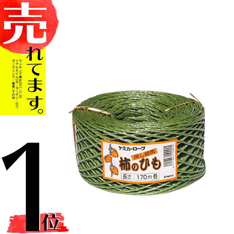 楽天市場】10本 干し柿 用 クリップハンガー Ｉ型 天井の柱に簡単に吊り下げ 抗菌処理済 ヤMDPZZ : 農業用品販売のプラスワイズ