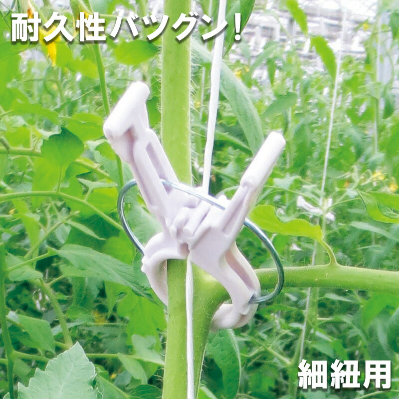 楽天市場 くきたっちアルファ パープル 薄紫 0個 Ka P0 細紐用 誘引 クリップ 誘引クリップ 誘引資材 誘引器具 トマト ナス パプリカ 栽培 シーム タ種 Dz Wn 農業用品販売のプラスワイズ