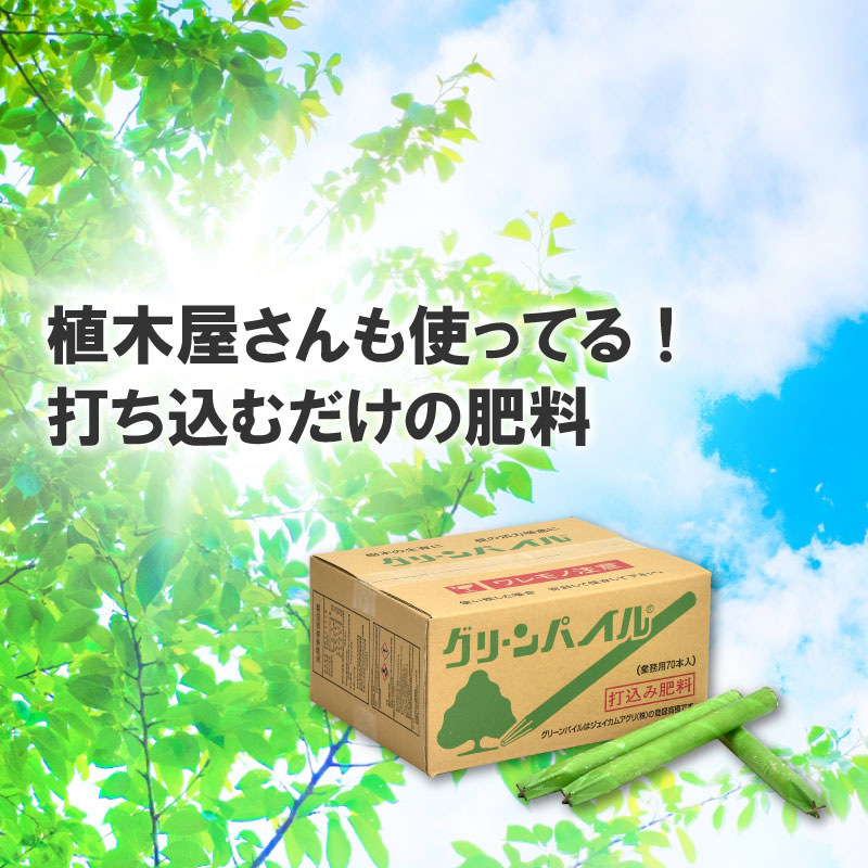 楽天市場 グリーンパイル スモール 70本入 業務用 打込み肥料 肥料 栄養 養分 活力剤 樹木 庭木 植木 果樹 園芸 ガーデニング 人気 おすすめ ジェイカムアグリ タ種 Dzdw 農業用品販売のプラスワイズ