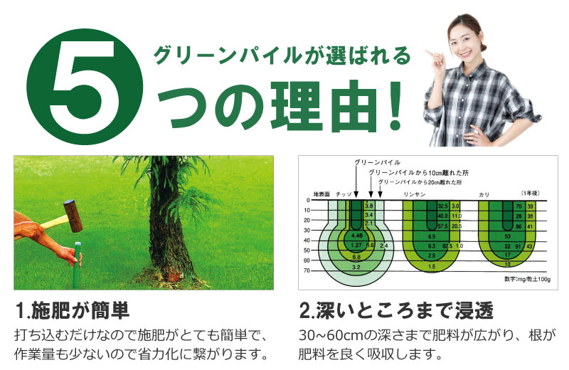 グリーンパイル ミニ 75本入 業務用 打込み肥料 肥料 栄養 養分 活力剤 樹木 庭木 植木 果樹 園芸 ガーデニング 人気 おすすめ ジェイカムアグリ タ種 Dzdw Prescriptionpillsonline Is