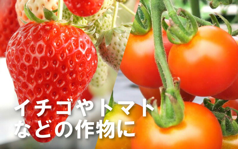 【北海道/離島不可】【要着日指定・時間指定不可】クロマルキューブ受粉用蜂ハチ30頭以上乾燥花粉付巣箱セットアグリ・トップタ種【代引不可】