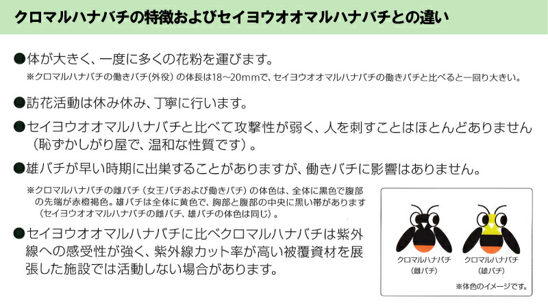 北海道不可・要着日指定・時間指定不可クロマルキューブ受粉用蜂ハチ30頭以上乾燥花粉付巣箱セットアグリセクトタ種代引不可