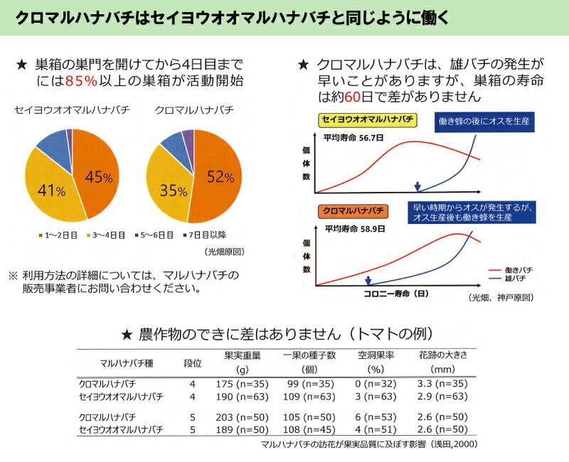 クロマルキューブ受粉用蜂ハチ30頭以上乾燥花粉付巣箱セットアグリセクトタ種代引不可北海道不可要着日指定時間指定不可
